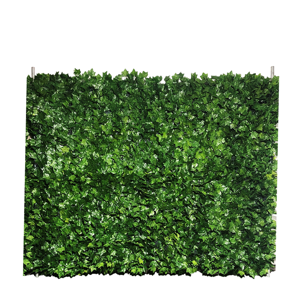 Our Ivy Wall is the perfect backdrop for any event.

2.4 (w) x 2.1m (h)