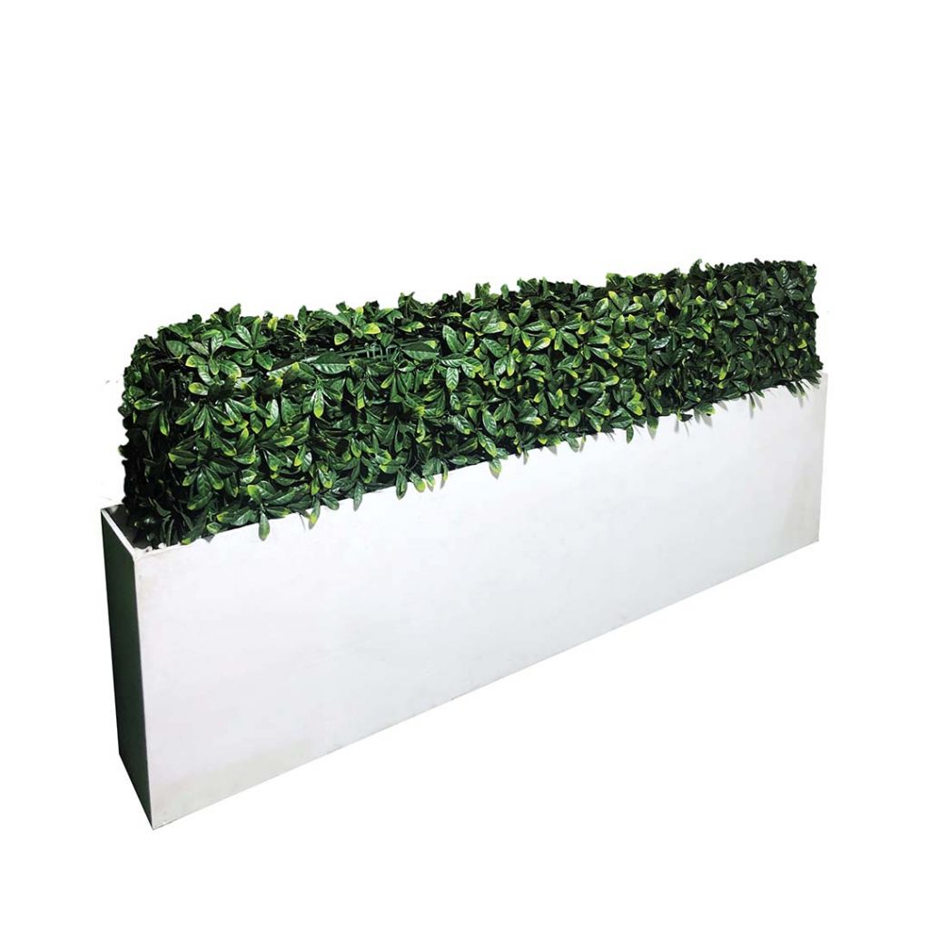 White wooden planter box with artificial hedge, total height is 1m

2.4m L

30cm W

60cm H

 