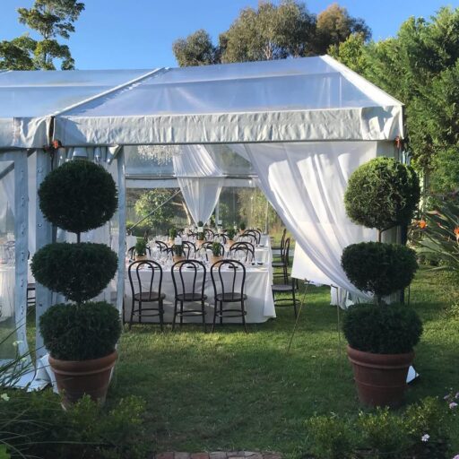 wedding-in-collinswood-with-10m-x-27m-clear-pavilion-with-roof-draping-and-bentwood-chairs